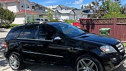 2010  Mercedes Benz Ml 350 Bluetec 