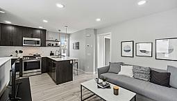 Gorgeous Garden Suite For Rent!