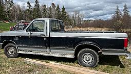 1989 Ford 150