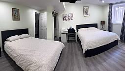 Luxurious And Bright Basement Suite