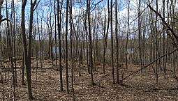 4.95 Acres For Sale - Gatineau Hills 25 Min From Ottawa