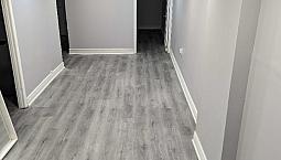 Newly Renovated Basement For Rent