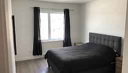 4 1/2 Chien Permis. Dispo À Partir Du 15 Juillet