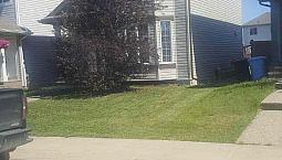 2 Bed Basement, Private Entry,  In-Unit Laundry, Kitchenette