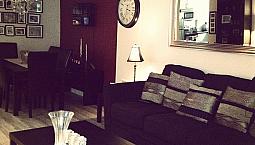 Gorgeous Fully Furnished One Bedroom Condo In Winnipeg