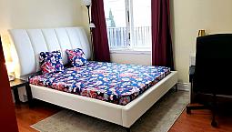 1 Bdrm Apt- 1530 All In- 2Mins To Scarb.go- St.clair & Midland