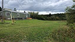 Mini Home On 2 Acres In Beautiful Southside Harbour, Ant.