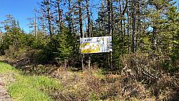 Lots / Land For Sale