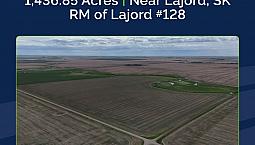9 Quarters | Rm Of Lajord #128 | Lajord, Sk Area