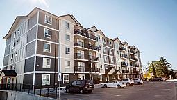 Pet-Friendly One Bedroom One Bath With In-Suite Laundry For Rent