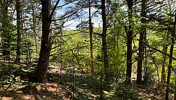 Affordable Building Lots Available. Close To Bridgewater