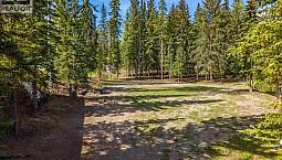 Lot 43 Wolfe Road 100 Mile House, British Columbia