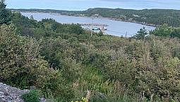 Ocean View Land Located In Scenic Plate Cove West