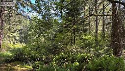 5596 Munn Rd Highlands, British Columbia