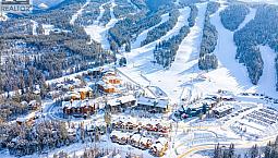 2049 Summit Drive Unit# 413c Panorama, British Columbia