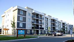 Pet-friendly Two Bedroom Two Bath With In-suite Laundry For Rent
