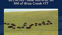 925 Acres Of Pasture & Hay Land | Admiral, Sk Area