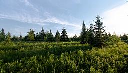 Country Building Lots For Sale – Bridgewater, South Shore Area