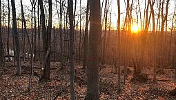 $579,000 - Price Taxes Not Included - Residential Lot For Sale
