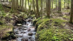 Lot 2 Red Mountain Road Silverton, British Columbia