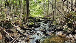 89 900$ - Terrain Résidentiel À Vendre À Val-Des-Monts