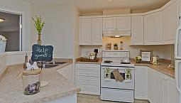 1 Bed X 1 Bath Apartment For Rent On Somervale Ct Sw | $1615
