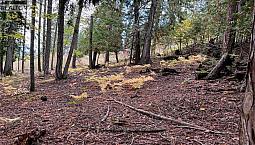 Columbia Drive Lot# 138 Anglemont, British Columbia