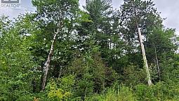 20 Peplinskie Homestead Road Madawaska Valley, Ontario