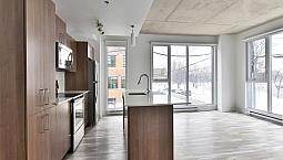 4 1/2 Appartement À Louer-Villeray-Mile-End-Metro Castelnau