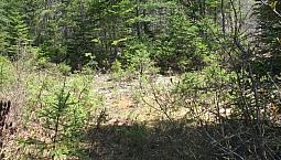 45 000$ - Terrain Résidentiel À St-Magloire-De-Bellechasse