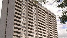 Downtown Bachelor - $1,299 + Hydro November 15Th