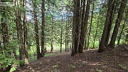 Deer Park Drive Lot# 21 Rossland, British Columbia