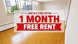 Bachelor Apartment For Rent
