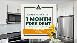 160 Market St. - 1Bdrm Apartment For Rent
