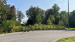 305 000$ - Prix Taxes Incluses - Terrain Résidentiel À Vendre