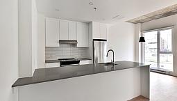 2 Étages Condo Appartement Neuf À Louer Plateau Mont Royal