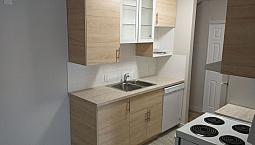 Renovated 1 Bdr - 10419 156 St - Must See