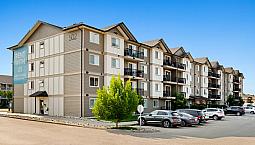 Pet-Friendly Three Bedroom One Bath With In-Suite Laundry For Re