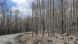 375 000$ - Terrain Résidentiel À Vendre À Bromont