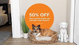 Pet-Friendly Three Bedroom Two Bath With In-Suite Laundry For Re
