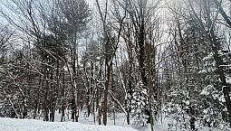 $219,900 - Residential Lot For Sale In Ste-anne-des-lacs