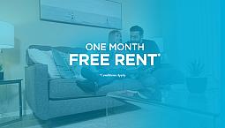 Pet-Friendly Two Bedroom One Bath With In-Suite Laundry For Rent