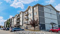 Pet-friendly Two Bedroom One Bath With In-suite Laundry For Rent
