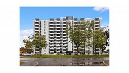 1 Bedroom Apartment For Rent - 2969 Fairlea Crescent