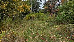 19 Carlisle Road Fredericton, New Brunswick
