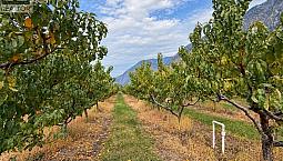 164 Ashnola Road Keremeos, British Columbia