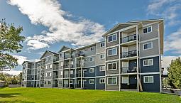 Pet-friendly One Bedroom One Bath With In-suite Laundry For Rent