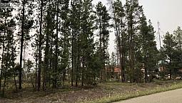 995 S Cranberry Lake Road Valemount, British Columbia