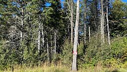69 000$ - Terrain Résidentiel À Vendre À Gaspé