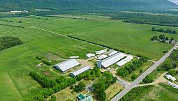 St-Joachim (Québec),Terre Agricole À Vendre  Bâtiments, 371 Ac
